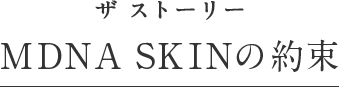 ザ ストーリー MDNA SKINの約束