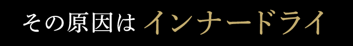 その原因はインナードライ