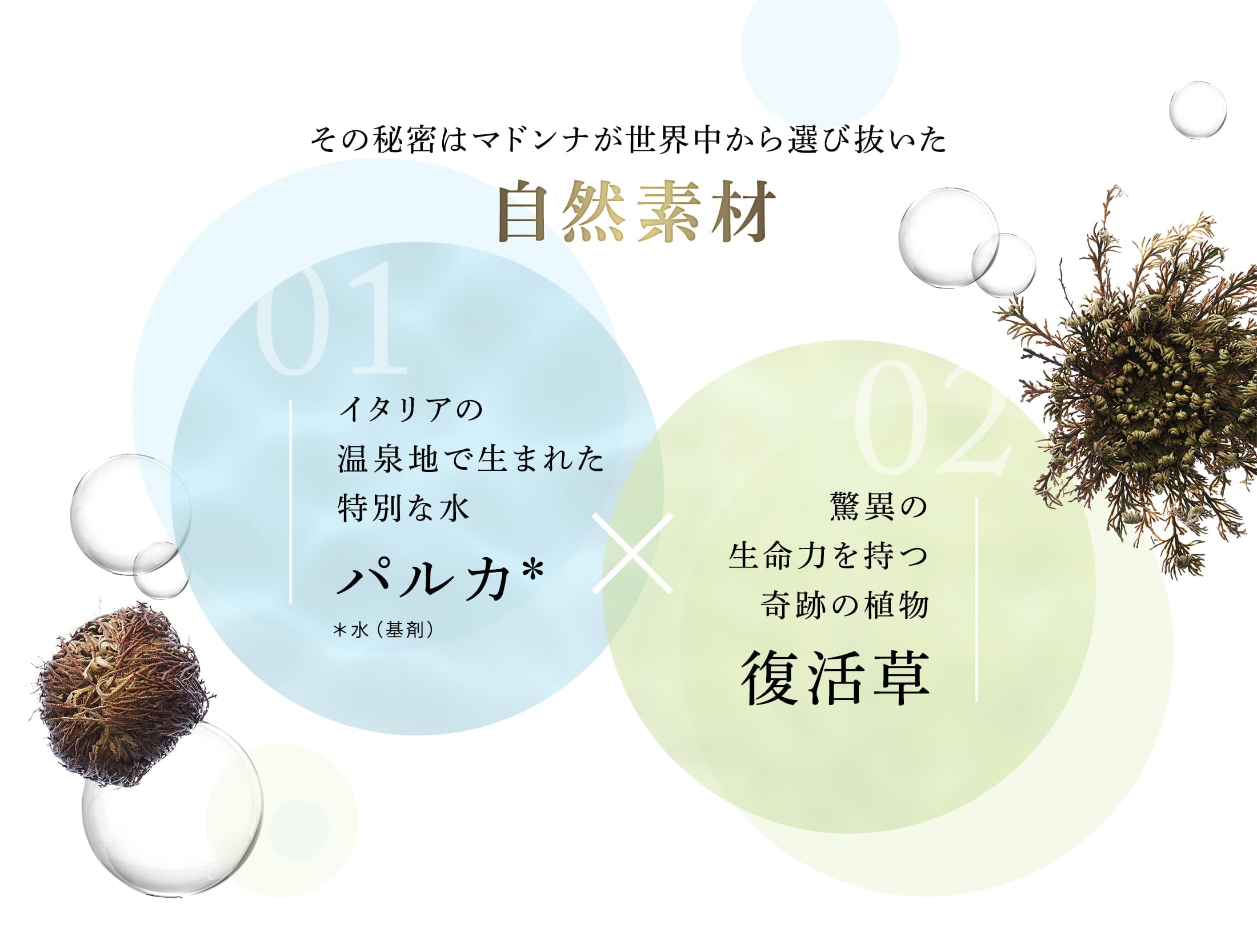 その秘密はマドンナが世界中から選び抜いた自然素材