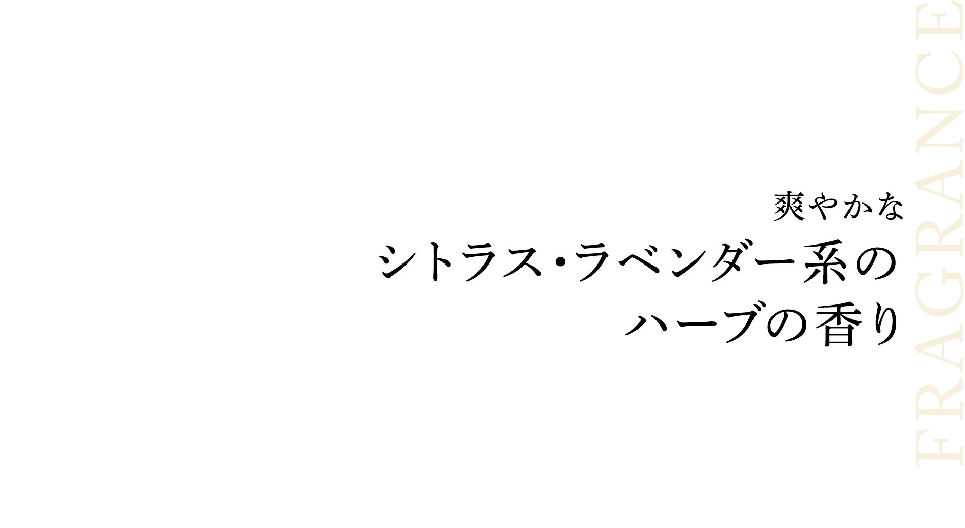 爽やかなシトラス・ラベンダー系のハーブの香り
